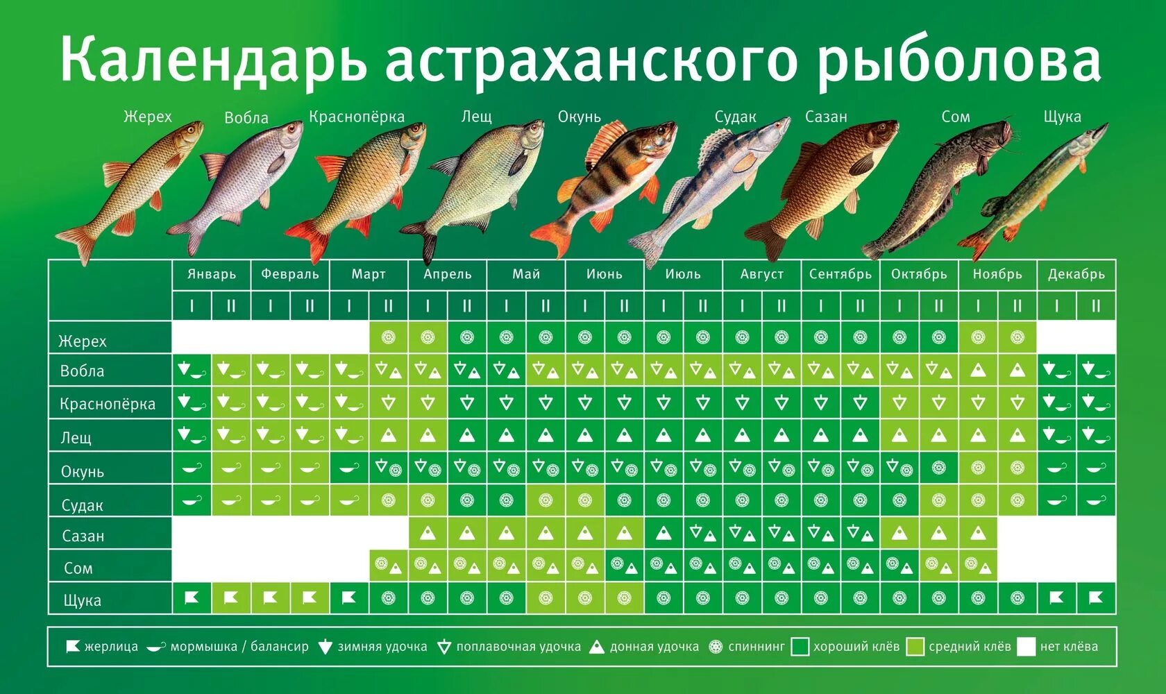 Прогноз клева рыбы во владимире. Таблица ловли рыбы по месяцам. таблица рыболова 2025. рыбный календарь. лунный календарь рыболова.