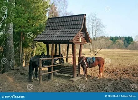 Конь под навесом стоять должен