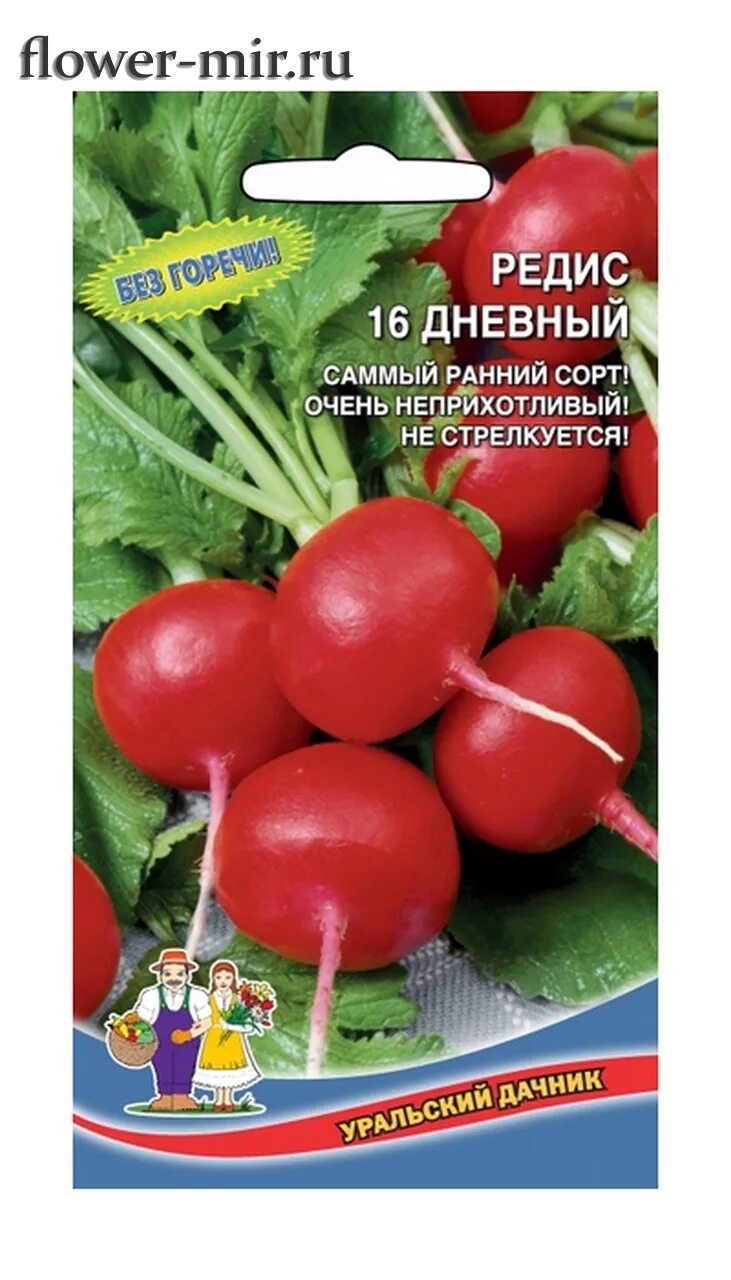 Редис 16. Редис 16 дневный уральский дачник. редис уральский экспресс уральский дачник. редис ультраскороспелый уральский дачник. редис 16 дневный марс ц.