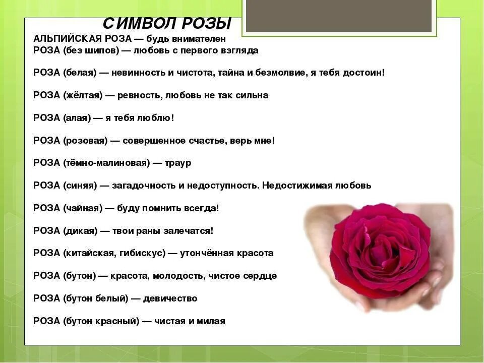 Значение 1 розы. Значение цвета роз. что означает цвет роз. что обозначает цвет поз. розы значение цветов на языке цветов.