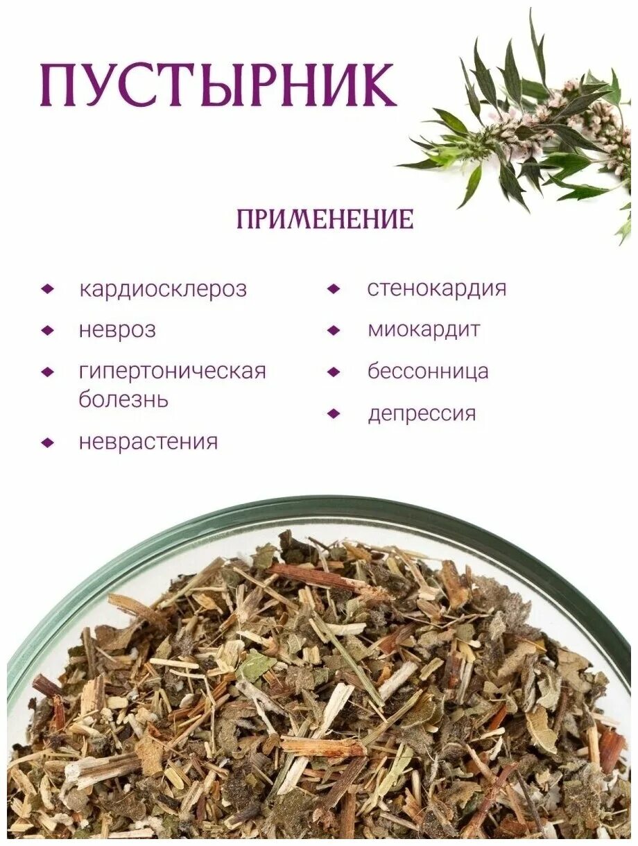Пустырник для чего применяется. Настой травы пустырника. пустырник чай. флавоноиды в пустырнике. пустырник трава чай.