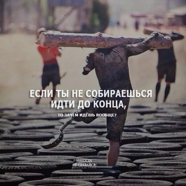 Никогда не довольным. Открытка давай не будем ссориться. Жизнь утекает как вода уходит безвозвратно. Котоматрица черный кот. Сражайся до конца цитаты.