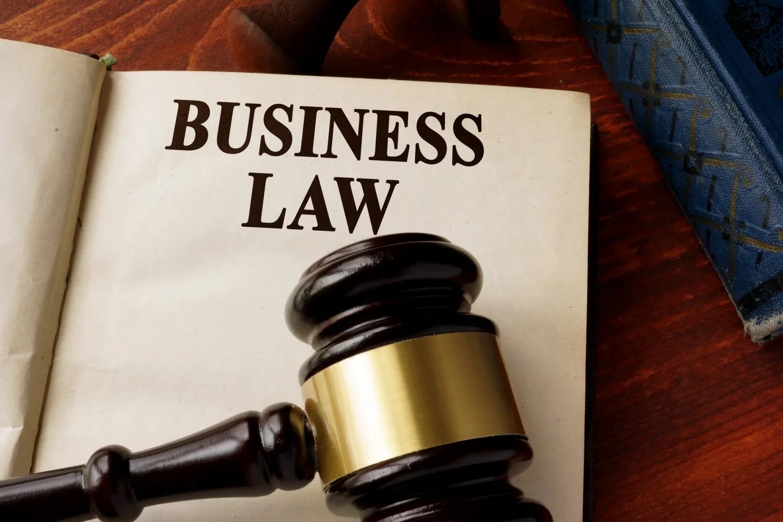 Issue law. Business Law. Бизнес и право. Buisness Law. Защита прав бизнеса.