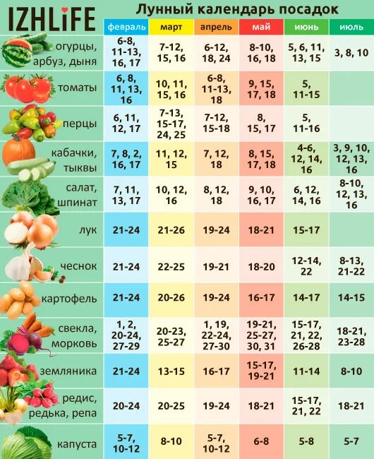 Календарь посадок. Календарь высадки рассады. Лунный календарь посадок. Календарь посадки овощей.
