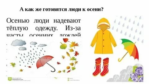Одежда осень картинки