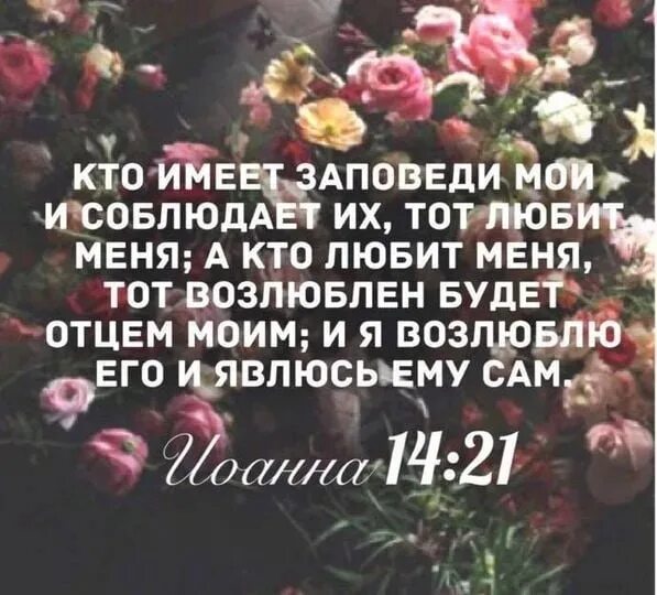 Если любите меня соблюдите заповеди мои библия. Соблюдай заповеди господни. Соблюдайте мои заповеди. Соблюдайте заповеди бога. Соблюдайте заповеди бога.