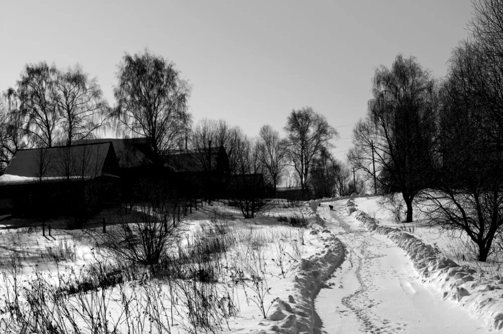 Осенняя печаль. Мрачный пейзаж. Погода в тоске. Дождь зимой. Погода в тоске.