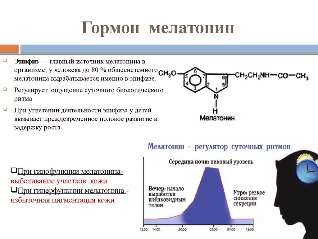 Мелатонин гормон эпифиза. Мелатонин гормон шишковидной железы. Мелатонин гормон эпифиза функции. Мелатонин. Физиологические функции гормона.. Мелатонин для чего нужен организму