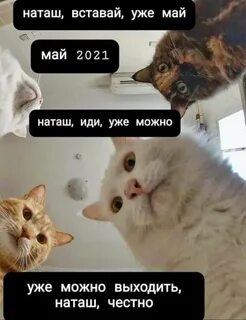 Выходи картинки смешные