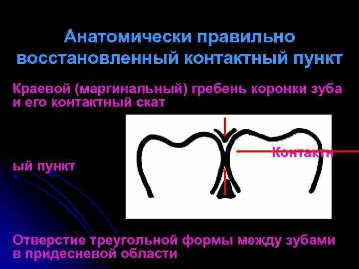 Маргинальный гребень зубы. Контактный Скат краевого гребня зуба это.