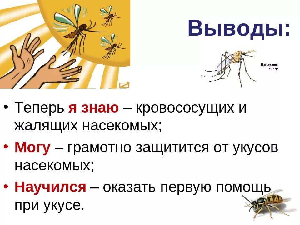 Правила поведения при укусах. Укусы насекомых и защита от них. Укусы насекомых и защита от них ОБЖ.