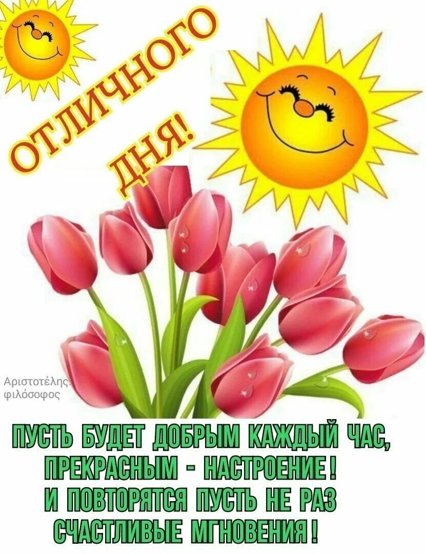Доброе утро здоровья и удачи хорошего дня. Доброе утро здоровья и удачи. доброе утро с пожеланиями здоровья. пожелания счастья и здоровья с утра. стикеры с пожеланиями здоровья и доброго утра.