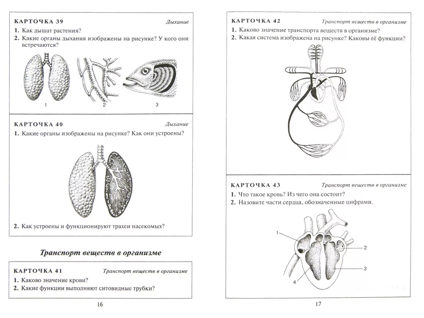 Карточки биология 8 класс. Карточки задания по биологии. Задания по биологии для детей. Дидактические карточки по биологии. Карточки по биологии 8 класс.