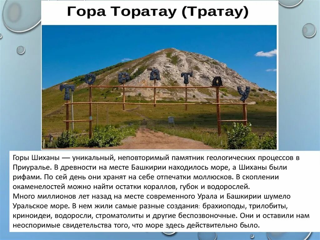 Несомненно одно горы шиханы представляют ценность. Шихан гора ишимбай. горы шиханы уникальный. гора торатау в башкирии. шихан торатау высота горы.