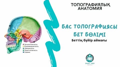 Дәрігер кабинетіндегі порно: оқиға