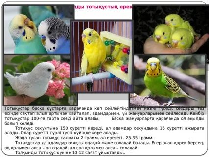 Sims 2 еденде секс