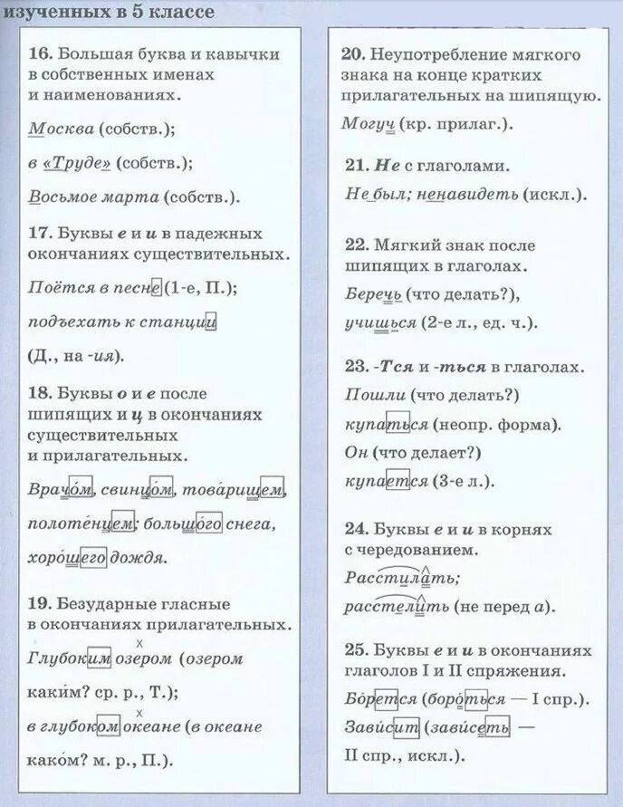 Орфограммы русского языка 6кл. Номера орфограмм по русскому языку 7 класс. Виды орфограмм изученных в 5 классе. Орфограммы русского языка 5 класс. Орфограммы русский язык 3 класс примеры