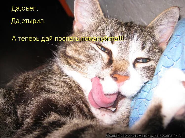 Фото дайте поспать. Дайте спать пожалуйста. Устроили ромашку джентльмены удачи. Ложитесь спать пожалуйста джентльмены удачи. Давайте спать.