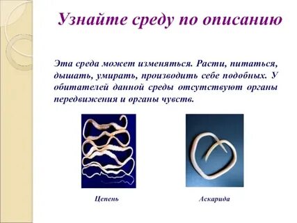 Среда может