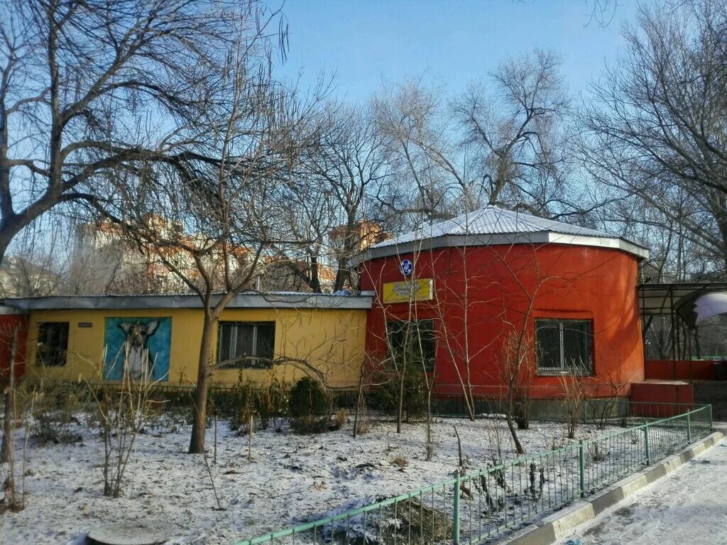тигренок клиника. детский парк ветеринарная. ветеринарная клиника богородск. корги вет 4 й вятский переулок. ветеринарные клиники в америке фасады.
