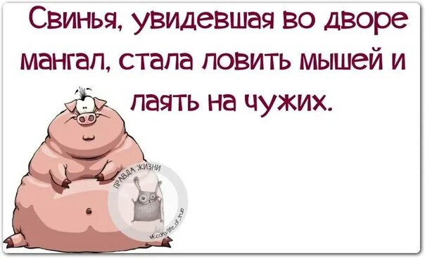 Как видят свиньи. Свинья увидевшая во дворе мангал стала ловить мышей и лаять на чужих. Свинья, увидевшая во дворе мангал. Свинья увидев во дворе мангал прикол.