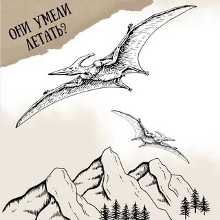 С кем же я летал