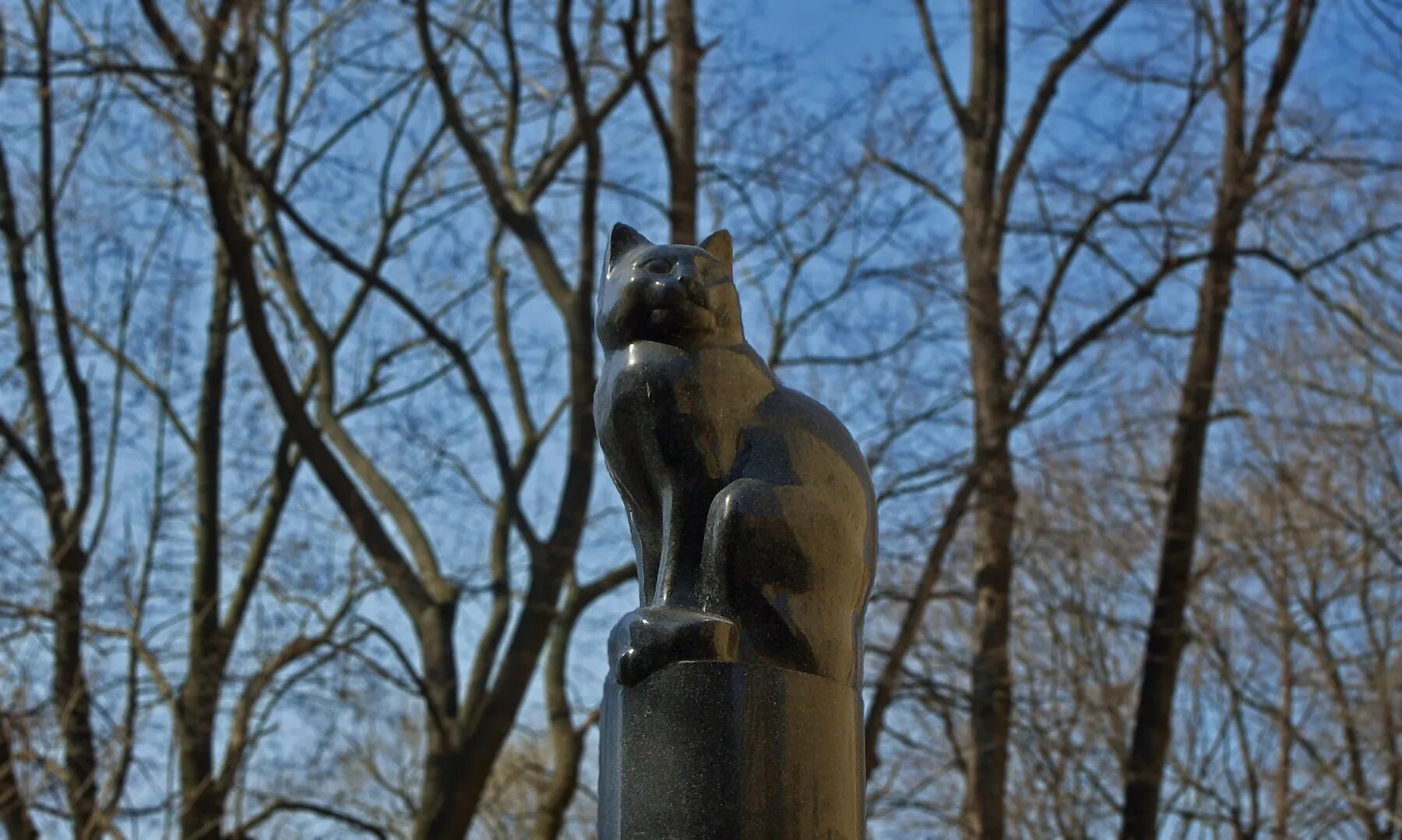 Памятник кошке рассказ. Памятник подопытной кошке в Санкт-Петербурге. Памятник кошке. Памятники кошкам в России. Памятник подопытной кошке.