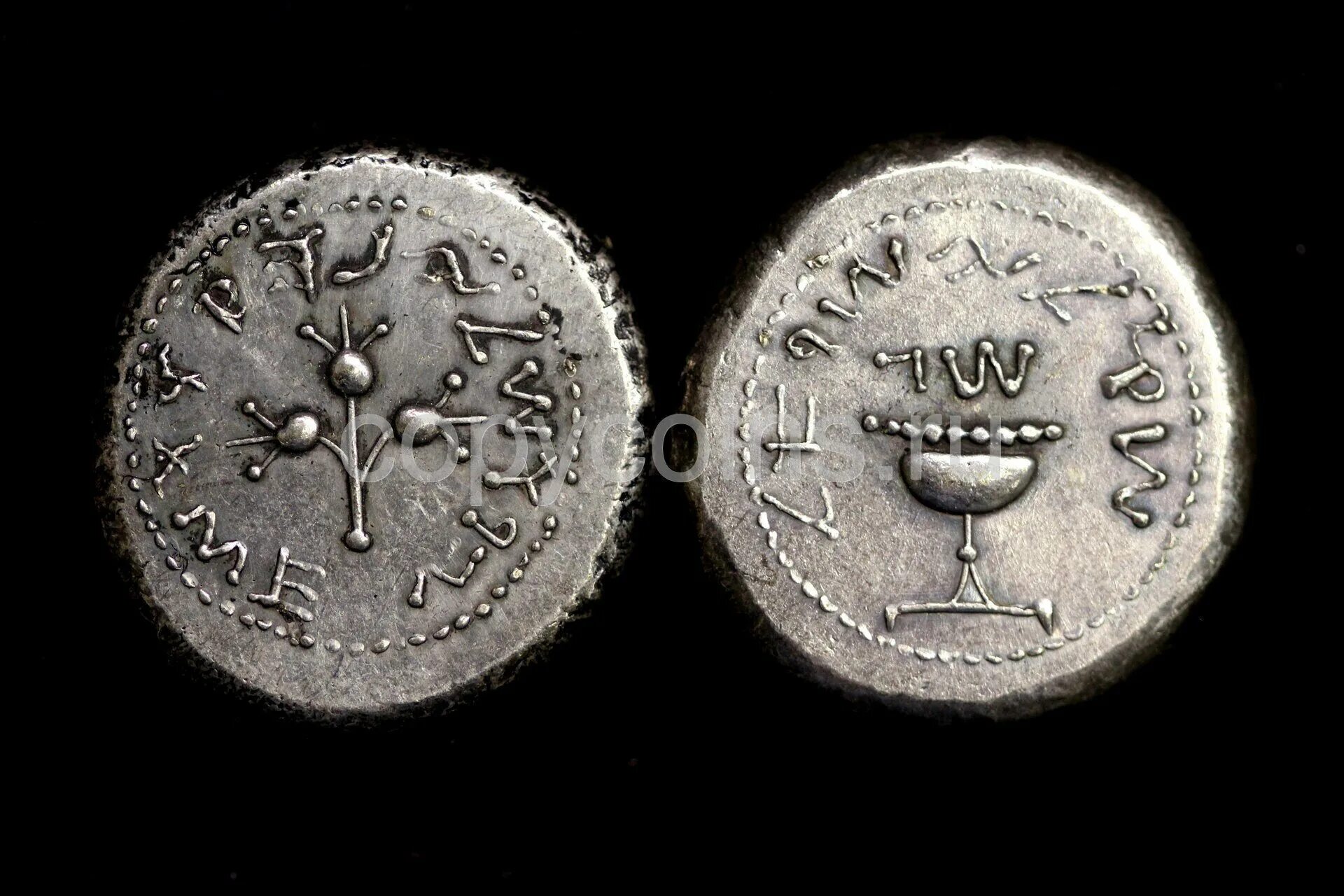Иудейские монеты. Монеты первой иудейской войны. Древние шекели. Шекель первой иудейской войны. 70 шекелей