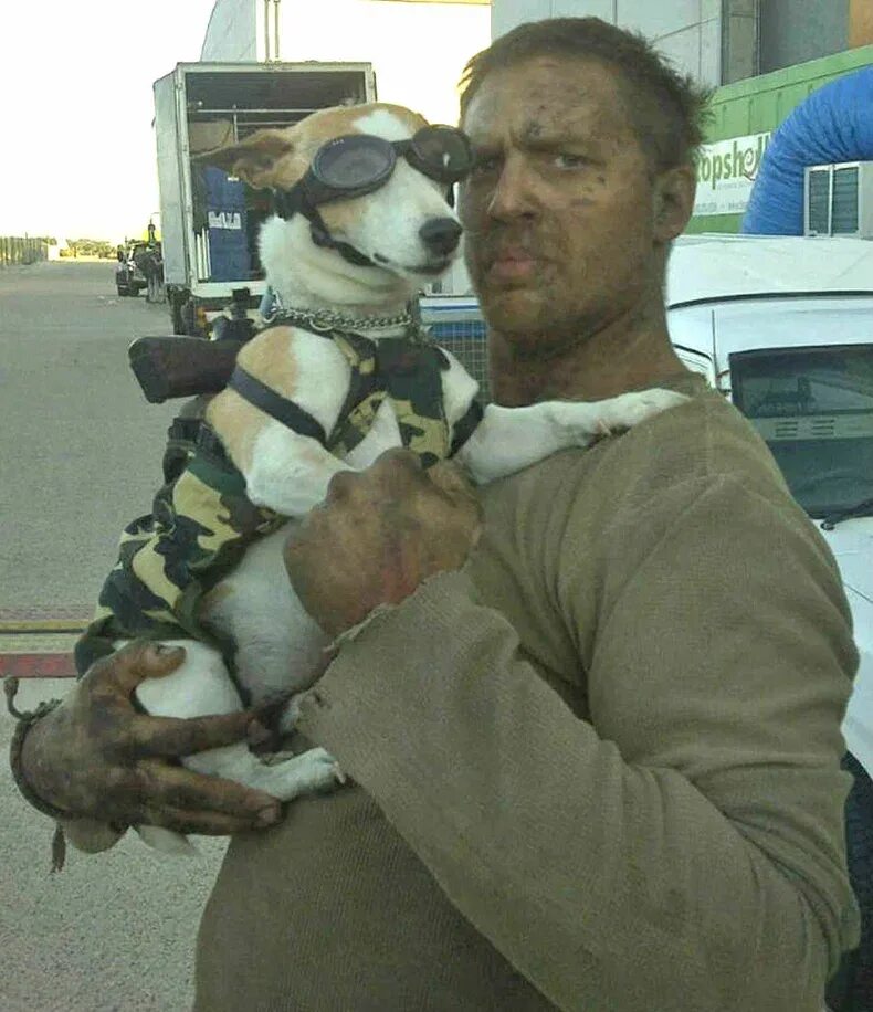 Том Харди с собакой. Том Харди и Макс собака. Пес Тома Харди. Собака Тома Харди порода. Собака тома харди