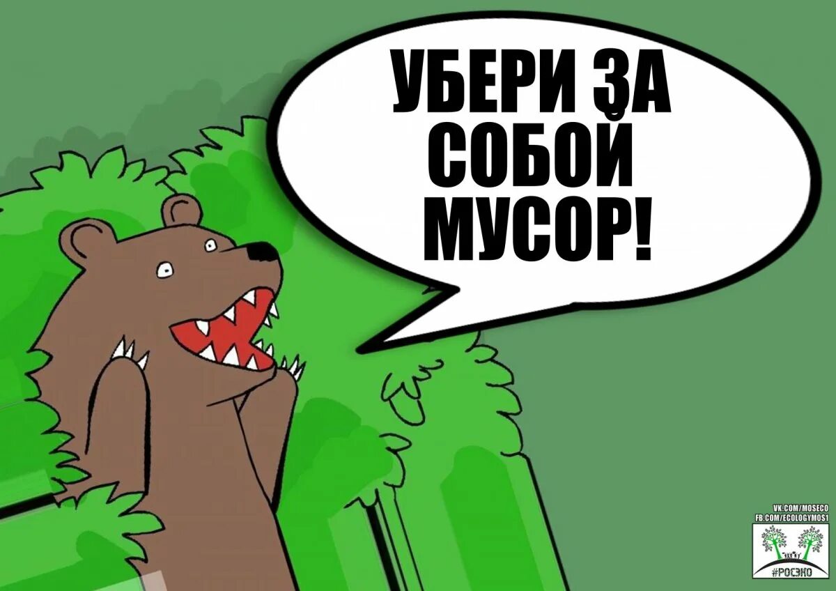 Убери 3 минуты. Медведь Мем. Медведь из кустов. Медведь из кустов Мем. Медведь в кустах.