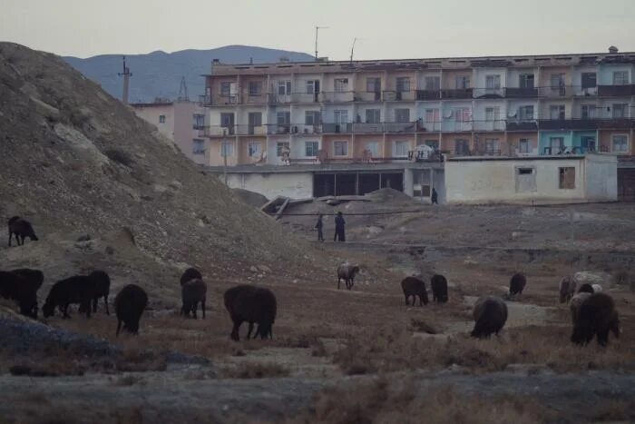 Погода в шурабе