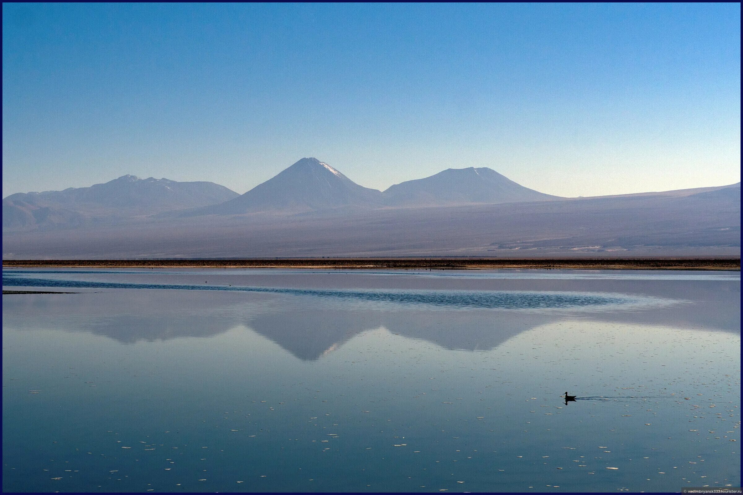 Северное Чили. Антофагаста Боливия. Атакама самое большое высокогорное озеро.