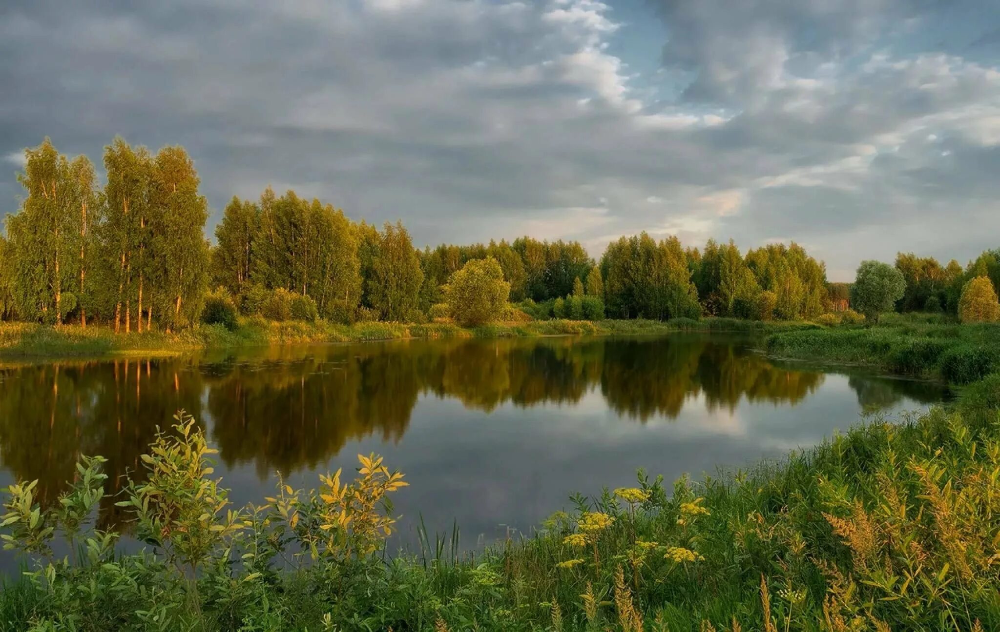 Река сутка. Река Солоница. Солоница река Ярославль. Лесные озера Ярославль.