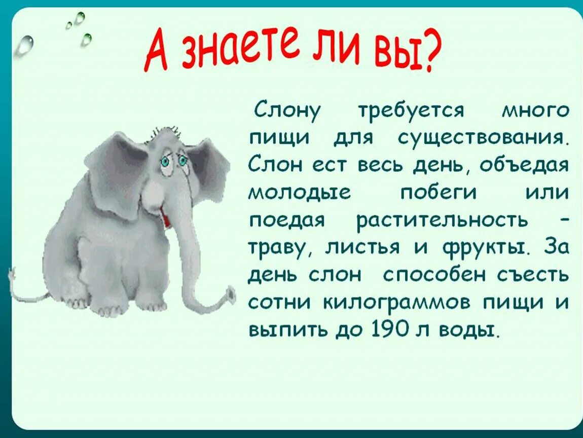 Интересный рассказ про слона. Интересные рассказы про животных. Интересное про слона для детей. Интересные факты о животных 3 класс. Знаешь ли т текст