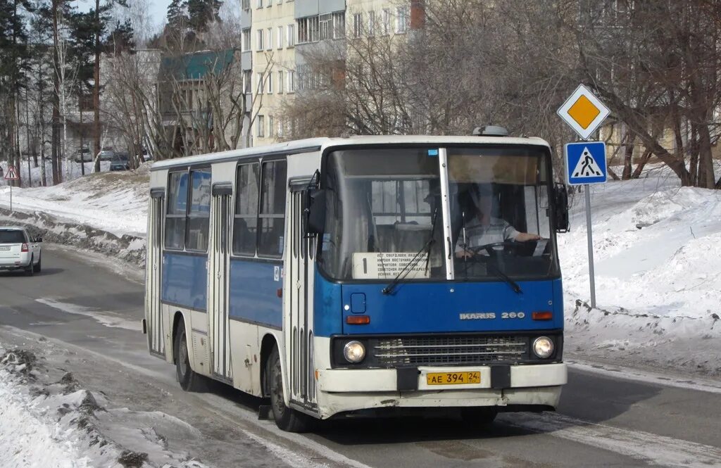 Г железногорск красноярский край автобус. Икарус 260 Железногорск. Автобусы Железногорск Красноярский. Автобусы Железногорск Красноярский край. Икарус Железногорск Красноярский край.