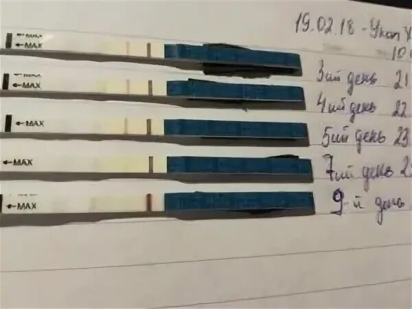 Показывает ли тест после выкидыша