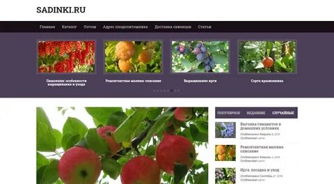 Саженцы цветов барнаул