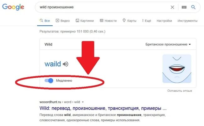 Wildberries перевести на русский