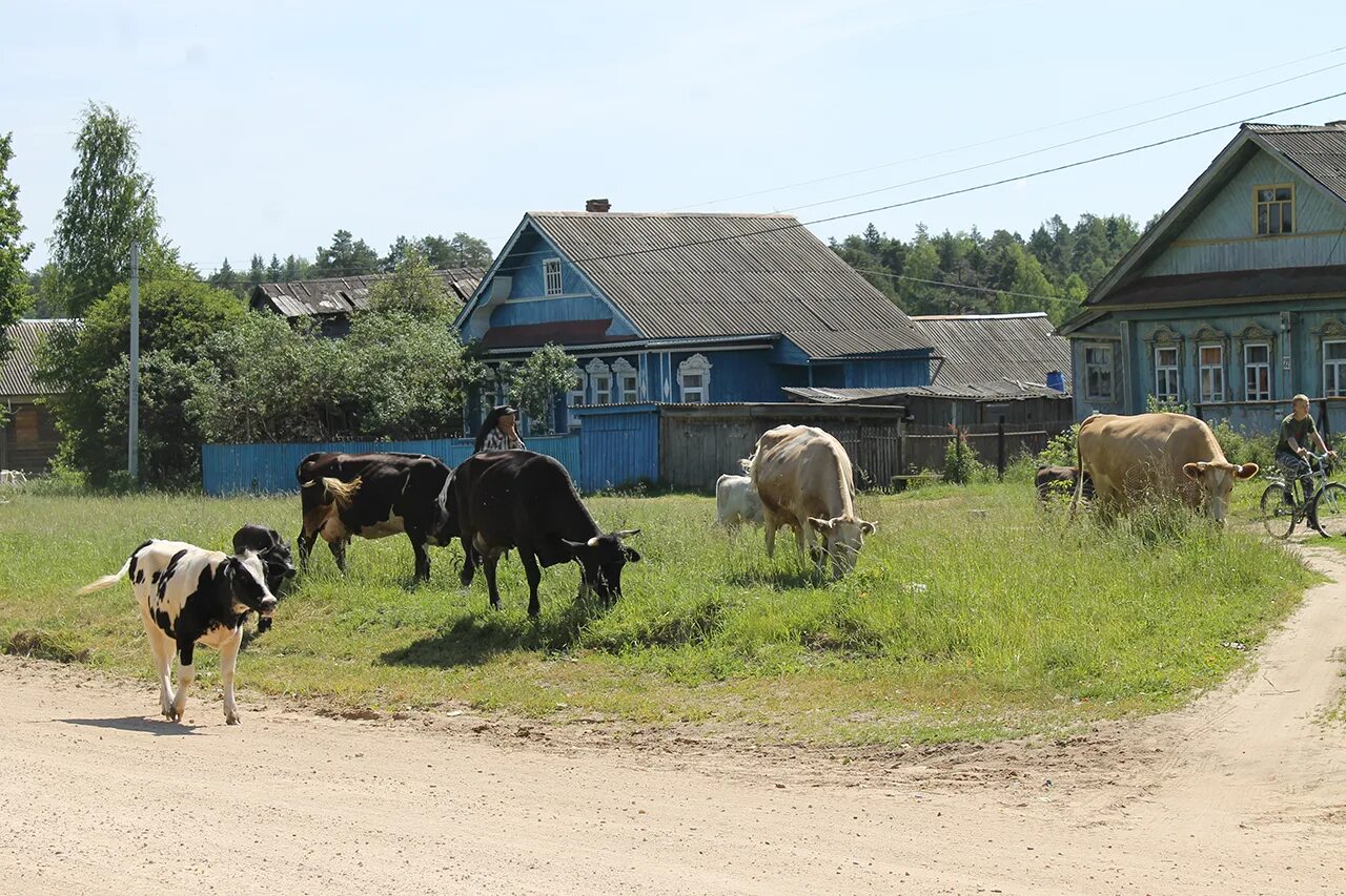 Погода южа ивановская на неделю. Южа Ивановская область. Город Южа Ивановская область. Г Южа Ивановская область население. Подслушано Южа.