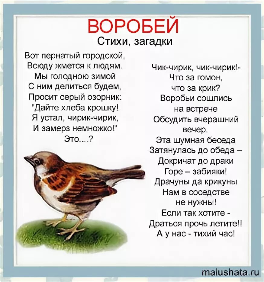 Стихотворение про птиц. Стихи про птиц для детей. стишки про птичек для детей. стихи про птиц для дошкольников. стихи про птиц для малышей.