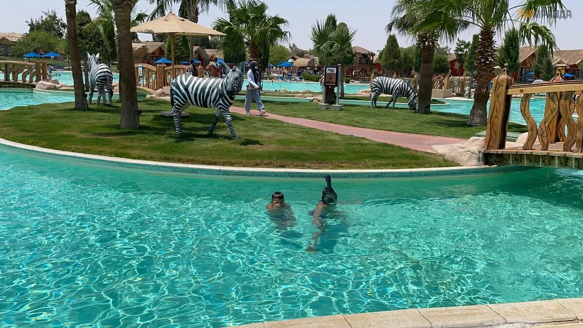 Neverland resort hurghada. Альбатрос Джангл Хургада. Египет Jungle Aqua Park отель. Jungle Aqua Park by Neverland 4 Хургада. Pickalbatros Jungle Aqua Park Resort Neverland 4*.