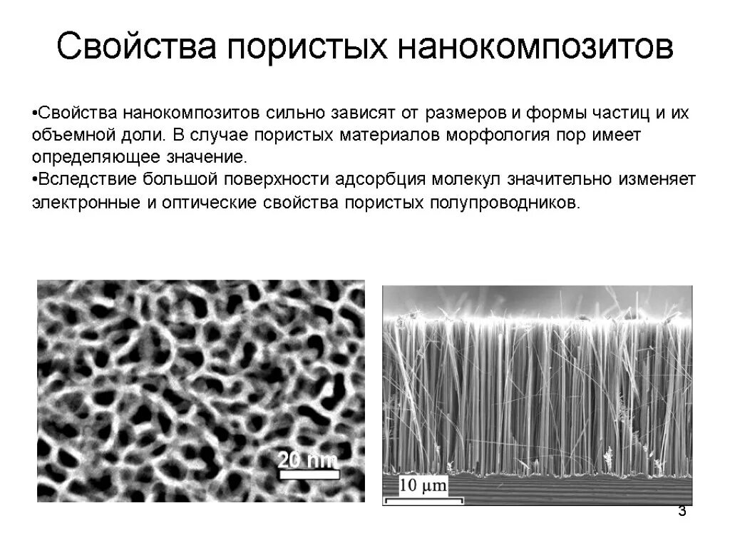 Придает клетке прочность и определяет ее форму