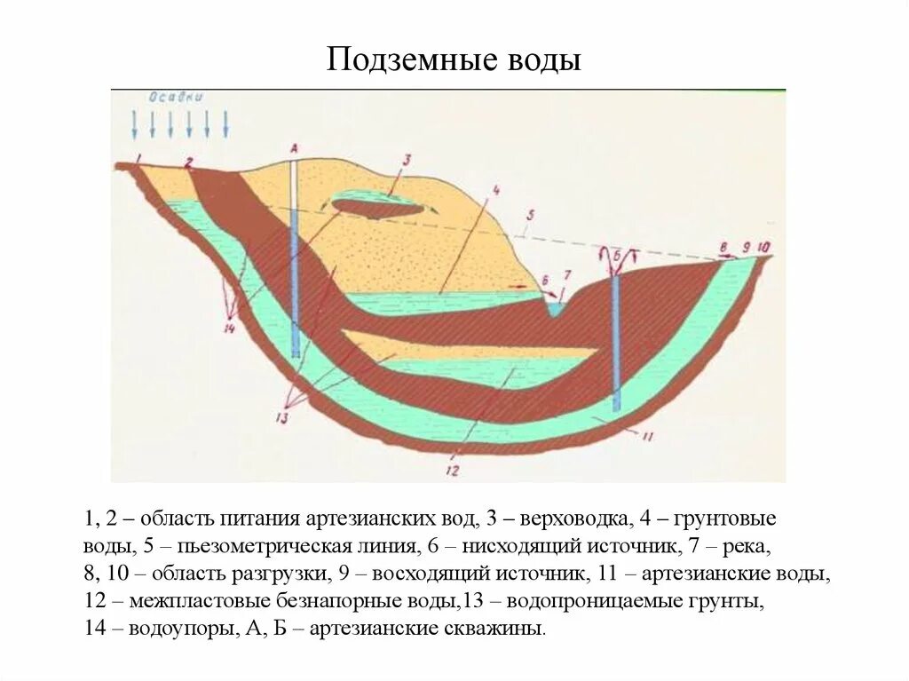 Верховодка это. Верховодка грунтовые воды артезианские воды. Верховодка межпластовые подземные воды. Грунтовые воды типа верховодка. Верховодка это в геологии.