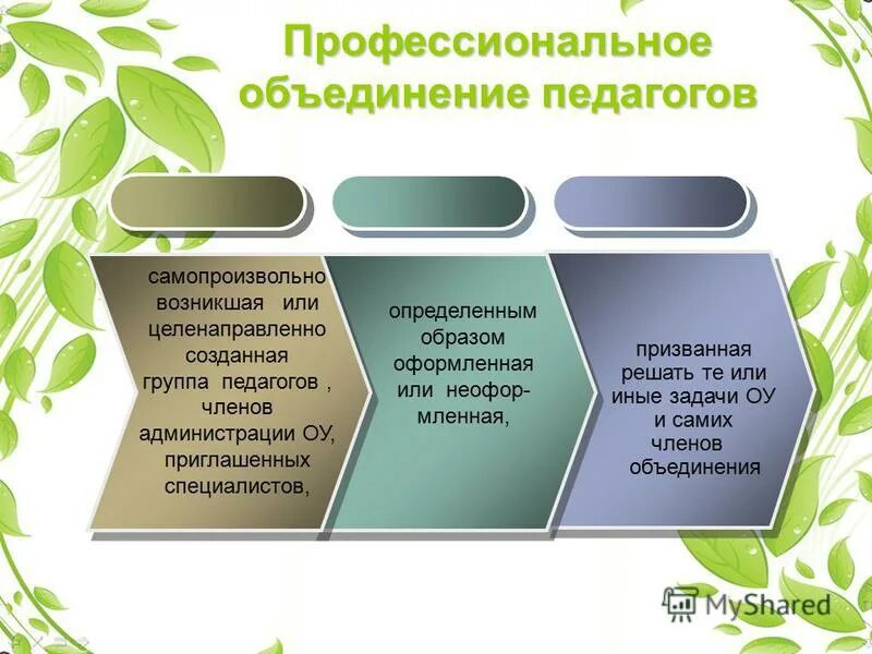 программа 5 5 отзывы