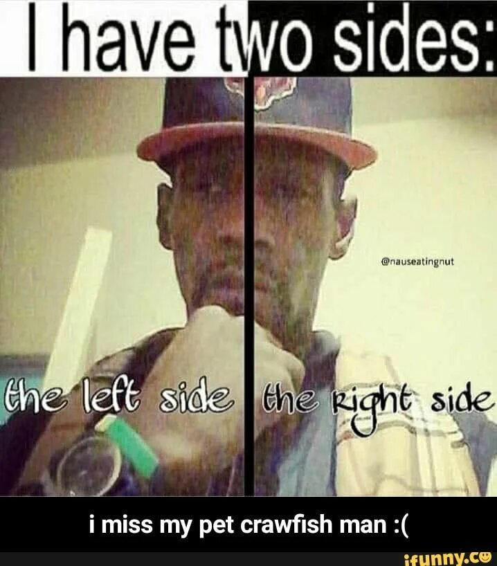 Can i have two please. I have two Sides. I have 2 Sides meme. I have two Sides meme. Мем i have 2 Sides.