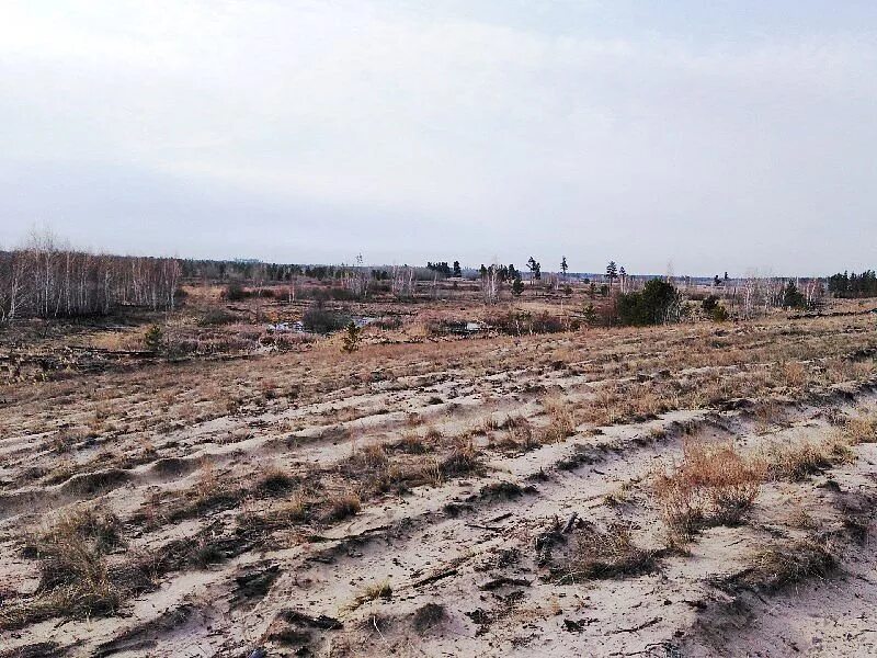 Угловское фото. Угловское фото