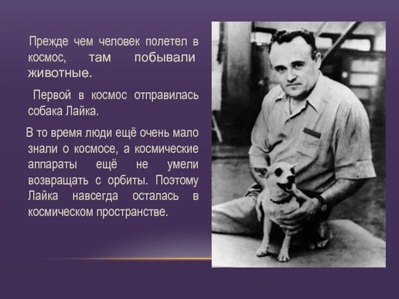 Человек полетел в космос. Первое животное полетевшее в космос. 1 Человек полетевший в космос. Почему люди полетели в космос. Люди впервые полетели