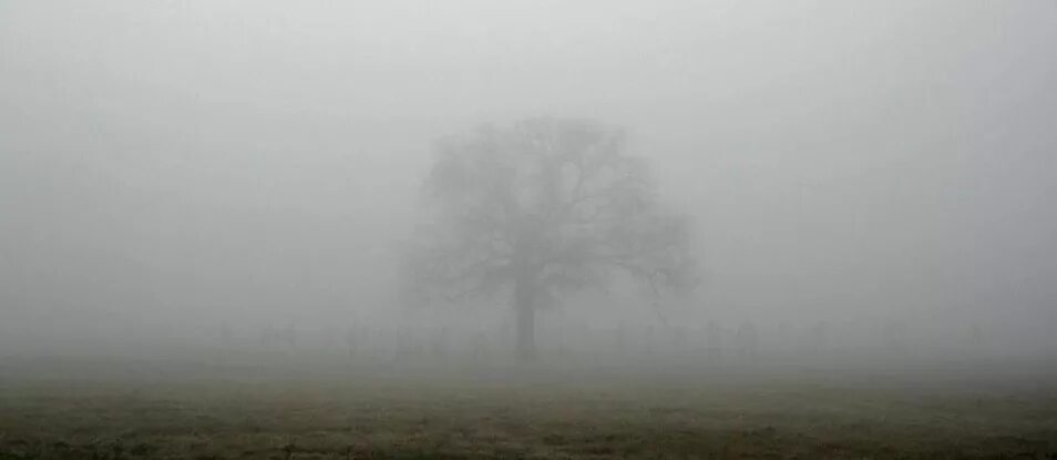 Пелена пыль. Пелена или туман в глазах. Illusion out of the Mist 1977. Как выглядит пелена 256. Something Creeping in the Fog.