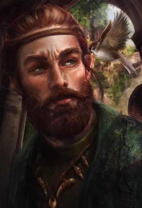 Dnd друид. Лесной эльф друид. Друиды кельтская мифология. Эльф друид днд. Друид мужчина.