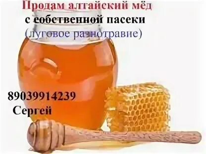 Куплю мед объявление